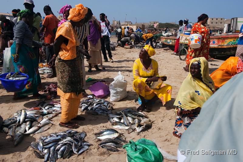 20090529_103352 D3 P1 P1.jpg - Sorting fish, Yoff Fishing Village